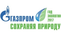 Завершение года Экологии в России: экологическая безопасность в газовой промышленности.