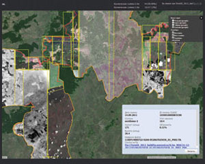 Обеспечение космическими снимками государственной инвентаризации лесов 