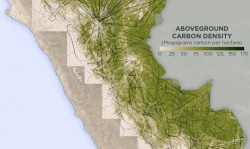 Подсчет выброса углерода в Амазонии с помощью данных ДЗЗ из космоса