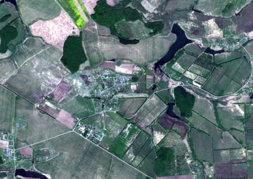 Фрагмент карты сельскохозяйственных угодий, составленной по результатам дешифрирования космических снимков RapidEye