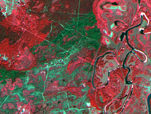 Рис 1. Мультиспектральное изображение участка территории охотничьего хозяйства с высоким разнообразием и мозаичностью ландшафтов, полученное системой AVNIR2 (синтез каналов NIRRG). Присутствуют разнотипные лесные, полевые, водноболотные ландшафты, имеется участок речной поймы, степные и солончаковые участки, пойменные озера с разными типами зарастания. Некоторые сельхозугодья зарастают травянистой растительностью и молодняком лиственных пород деревьев