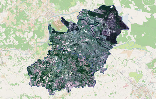 Ортомозаика космических снимков RapidEye (май, 2014 г.) на территорию Зарайского и Луховицкого районов