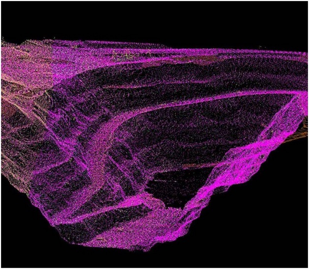Создание точной цифровой модели рельефа по результатам лазерного сканирования.jpg