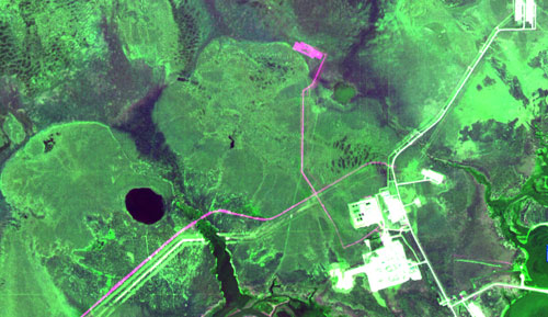 Кустовая площадка, дороги, трубопроводы, появившиеся в период с июля 2009 г. по июнь 2010 г. (розовый цвет) на разновременном композите двух снимков RapidEye